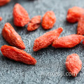 कार्बनिक प्रमाणित सूखे wolfberry goji बेरी